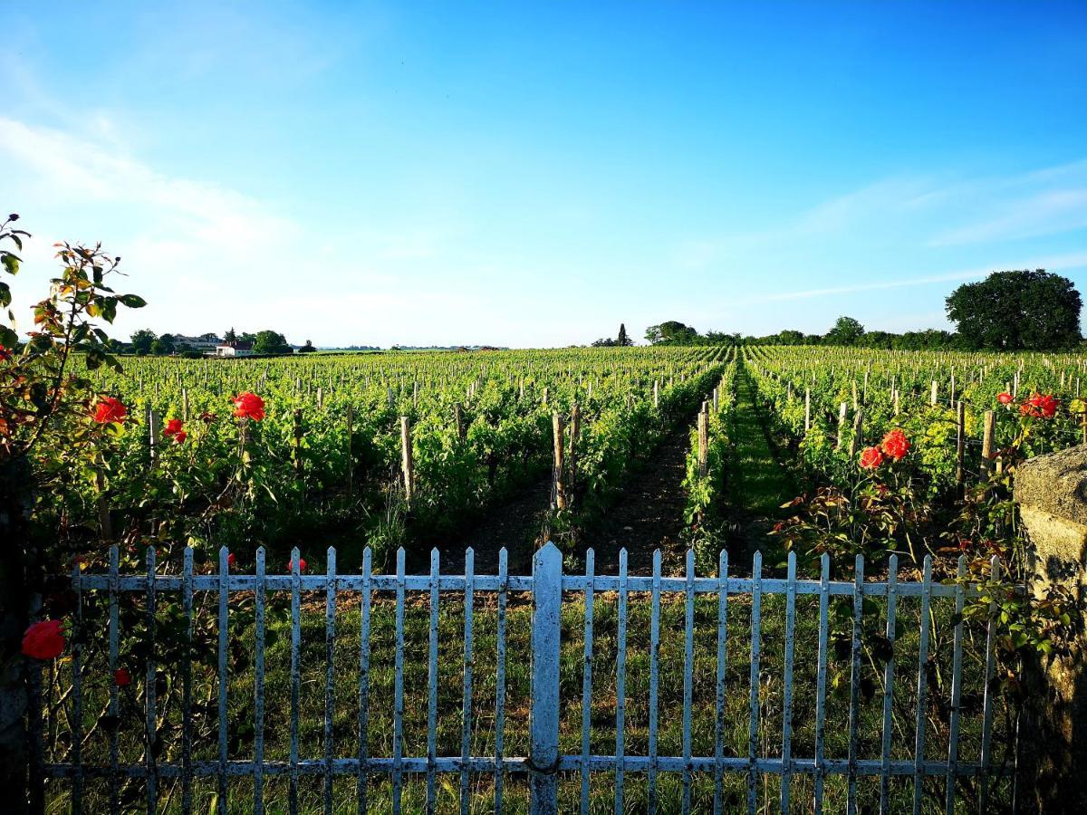 La Maison Des Vignes Saint Emilion Saint-Émilion Exterior foto